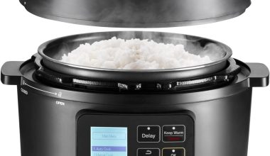 rice cooker price in usa