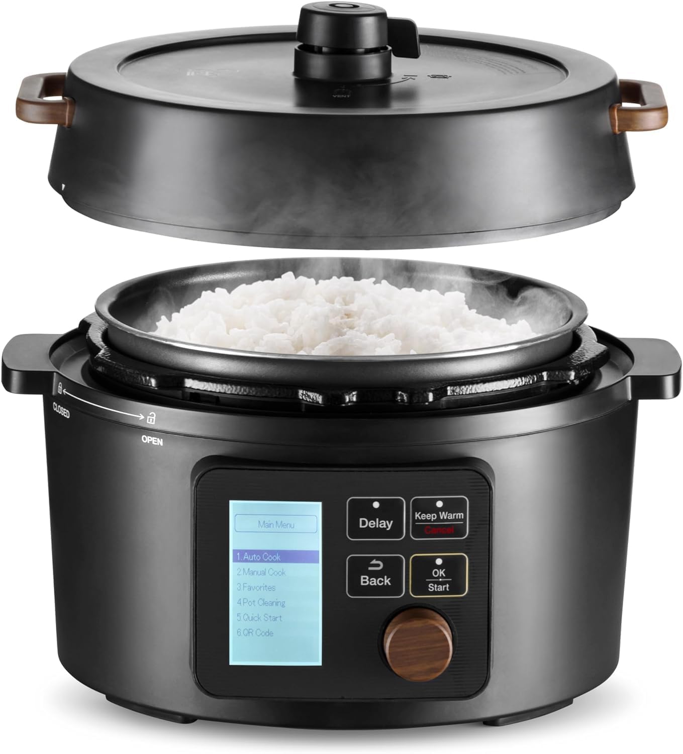 rice cooker price in usa